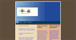 Desktop Screenshot of mynizagaconsulting.com
